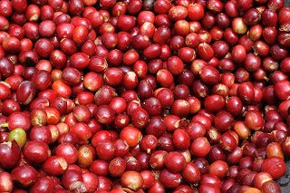 Indonesia Mandheling G1 Bintanrima / Full City Roast 120g