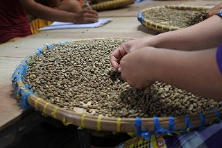 Indonesia Mandheling G1 Bintanrima / Full City Roast 120g