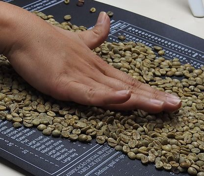 Brazil Topazio Double Anaerobic Fermentation Black Honey / High Roast 120g