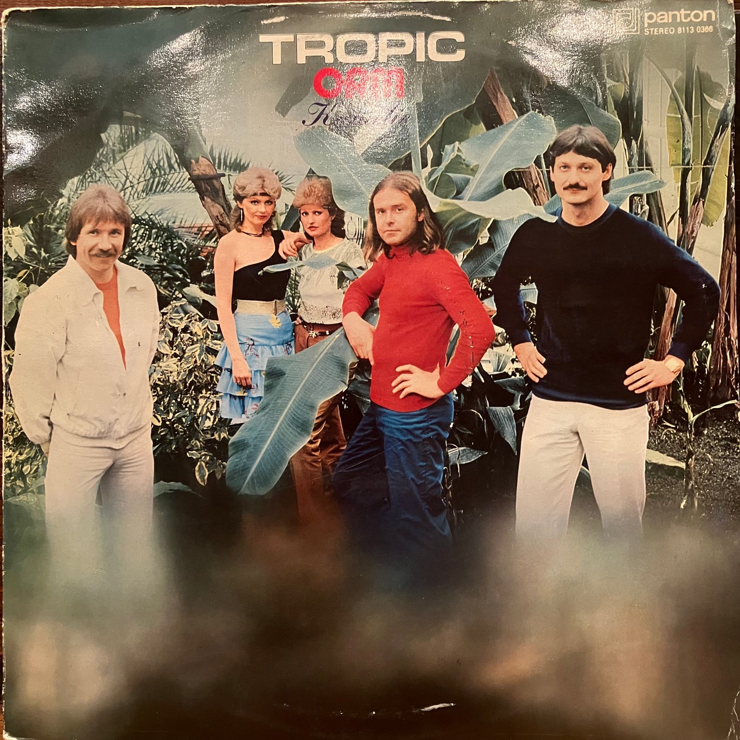 ORM, Kamelie / Tropic