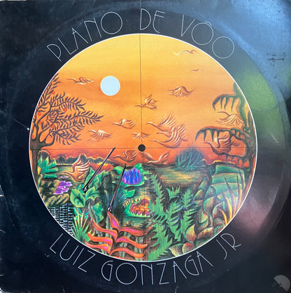 Luiz Gonzaga Jr. / Plano De Vôo