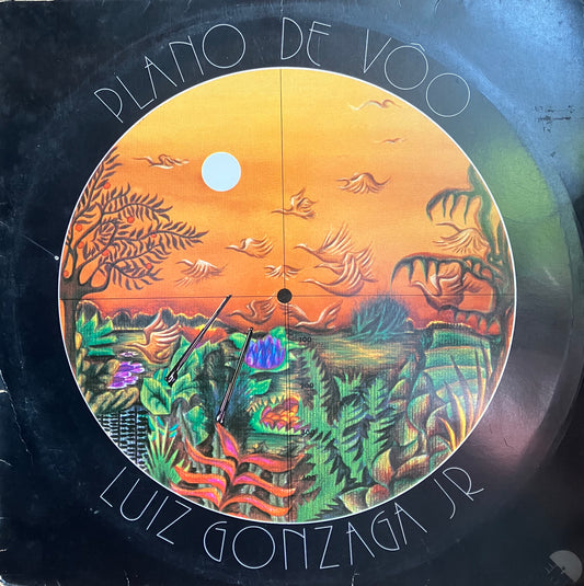 Luiz Gonzaga Jr. / Plano De Vôo
